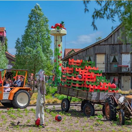 Ferienanlage Seeblick Kunstquartier Koserow Dış mekan fotoğraf